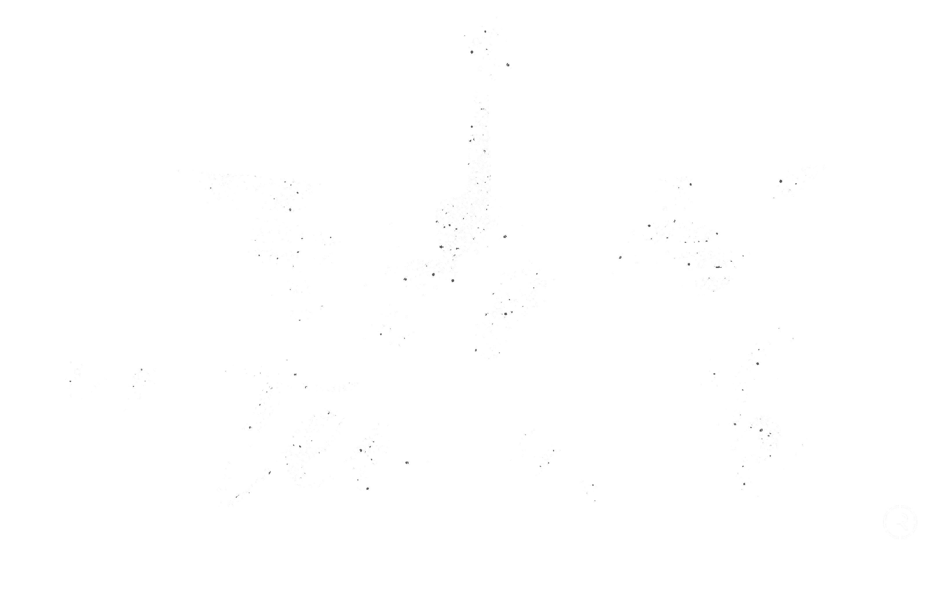 Noteworthy Grunge Logo R White